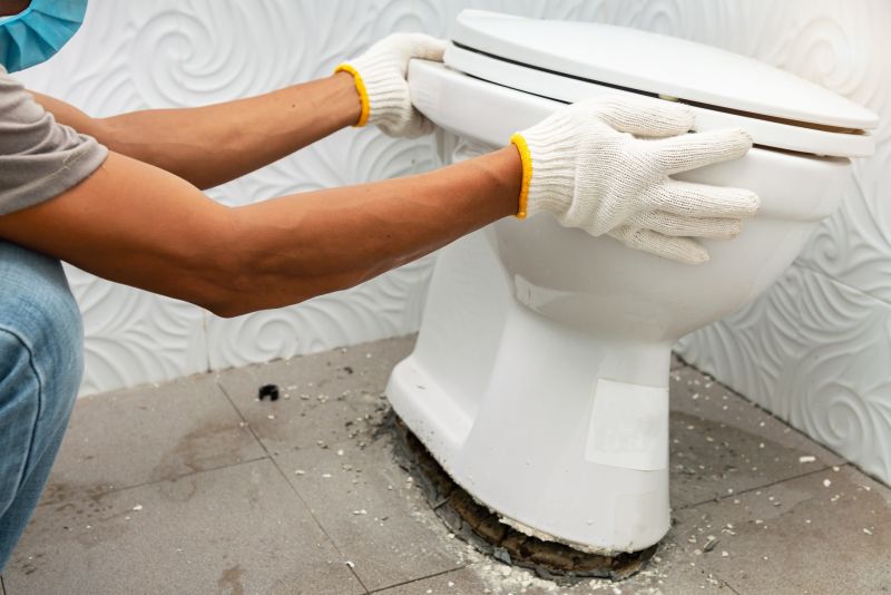 Toilet Repair detail